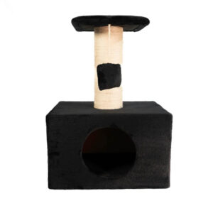 GIMNASIO CAJON GATO